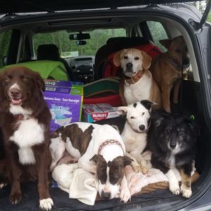 Meet your Posher, Jharasen